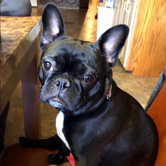 Meet your Posher, Melissa - Picture 1 of 1